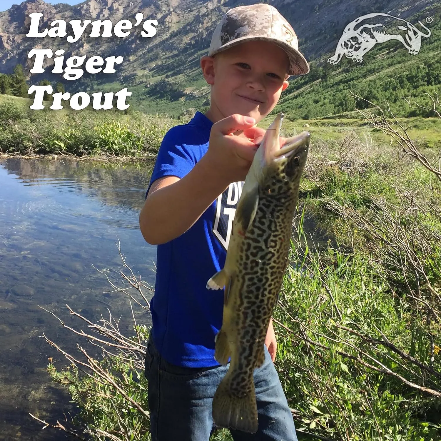 Panther Martin Nature Series Dressed Teardrop Spinners Fishing Lure Catches Trout,Walleye, Crappie, Pickerel, White Bass, Grayling and More.